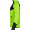 023947-11_HainesLady_VisabilityYellow_left