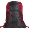 Smart Backpack
