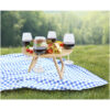 Blue,Picnic,Towel,Cloth,On,Green,Grass,Background,empty,Space,Food
