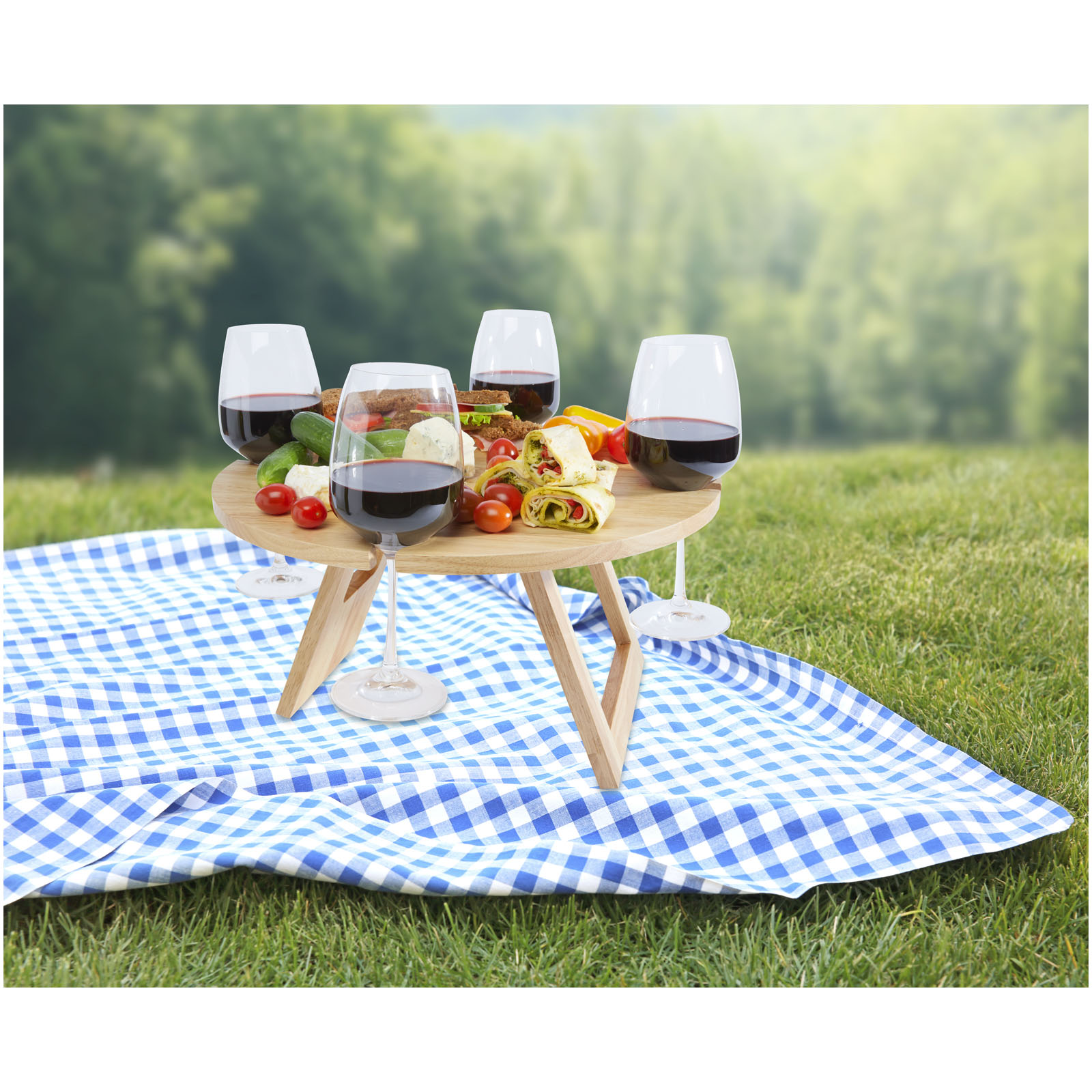 Blue,Picnic,Towel,Cloth,On,Green,Grass,Background,empty,Space,Food