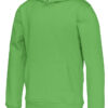 141011_645_cvc_hood_kid_green