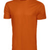 150374_290_rock-t