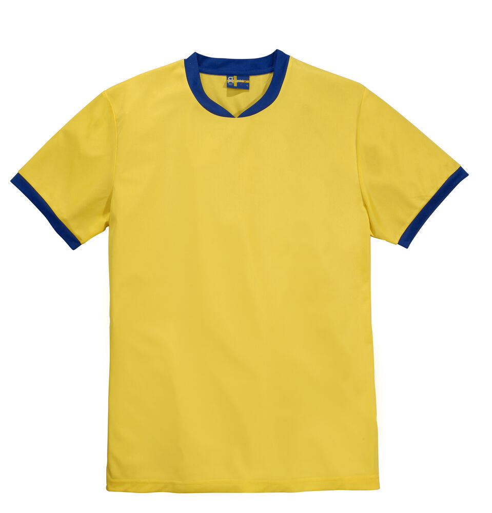 Swe-T