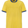 Swe-T