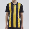 1905584_9552_PROGRESS-Jersey-Stripe_C1