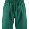 1910262-643000_Core-Essence-Shorts-M_Back
