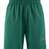 CORE Essence Shorts M