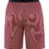 1911116-430900_Progress-Reversible-Basket-Shorts-W_Back