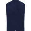 1915002-396900_NOR-Adv_Explore-Pile-Fleece-Vest-W_Back