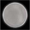 1PR03301_E1