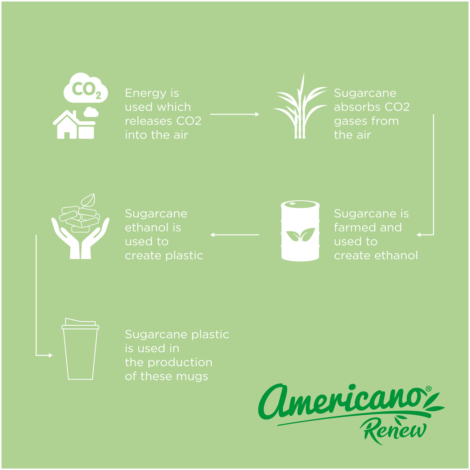 Americano Renew Story