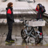 Prime Padded Softshell