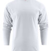 Heavy long sleeve