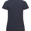 353409-554_ManzanitaRoundneckWomen_Back-