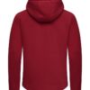 358430-382_PembertonHoodMen_Back