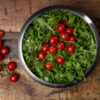 Salatskål Stainless Orrefors Jernverk