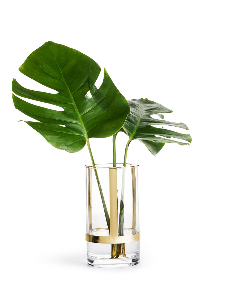Hold Vase