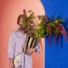 Vase Curt