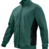 642129-66_Green