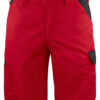 2528 Shorts
