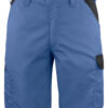 2528 Shorts