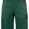 2528 Shorts