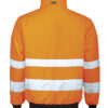 65135939_3100_back