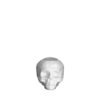 Still Life skull votive offwhite 85mm
