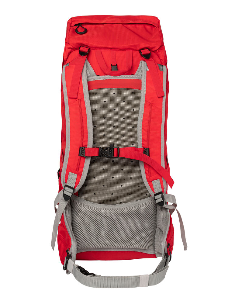 951001-35_Hiking-Backpack_back